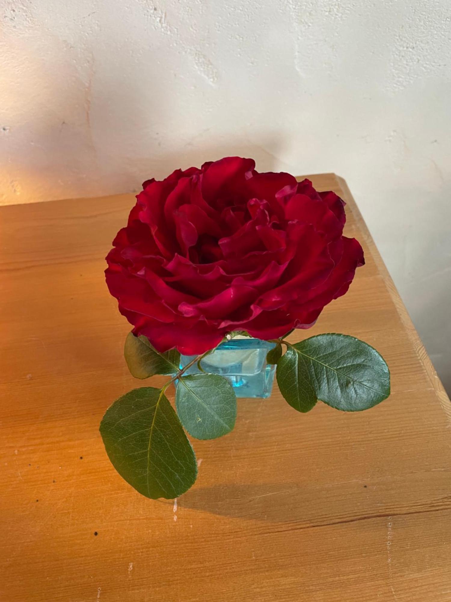 Jumilhac-le-Grand Delightful French Rustic Studio מראה חיצוני תמונה