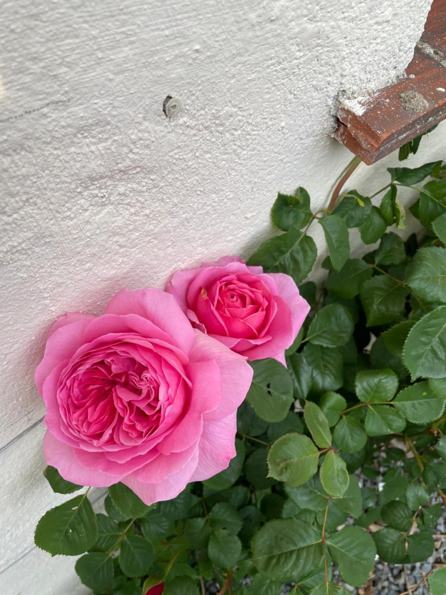 Jumilhac-le-Grand Delightful French Rustic Studio מראה חיצוני תמונה